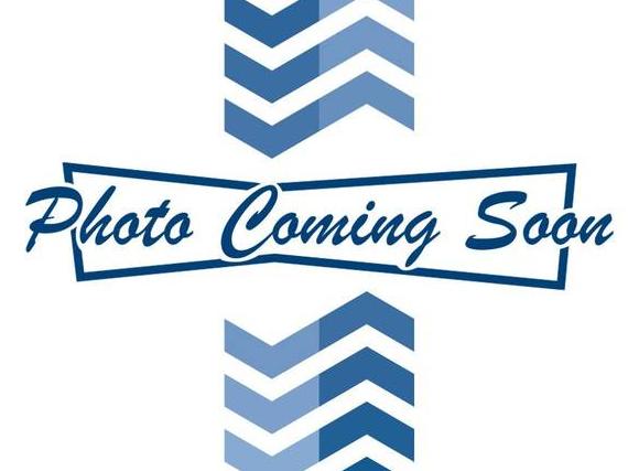 CHEVROLET SILVERADO HD 2022 1GC4YTEY9NF202771 image